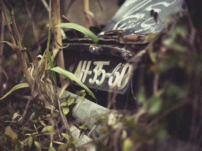 Overgrown